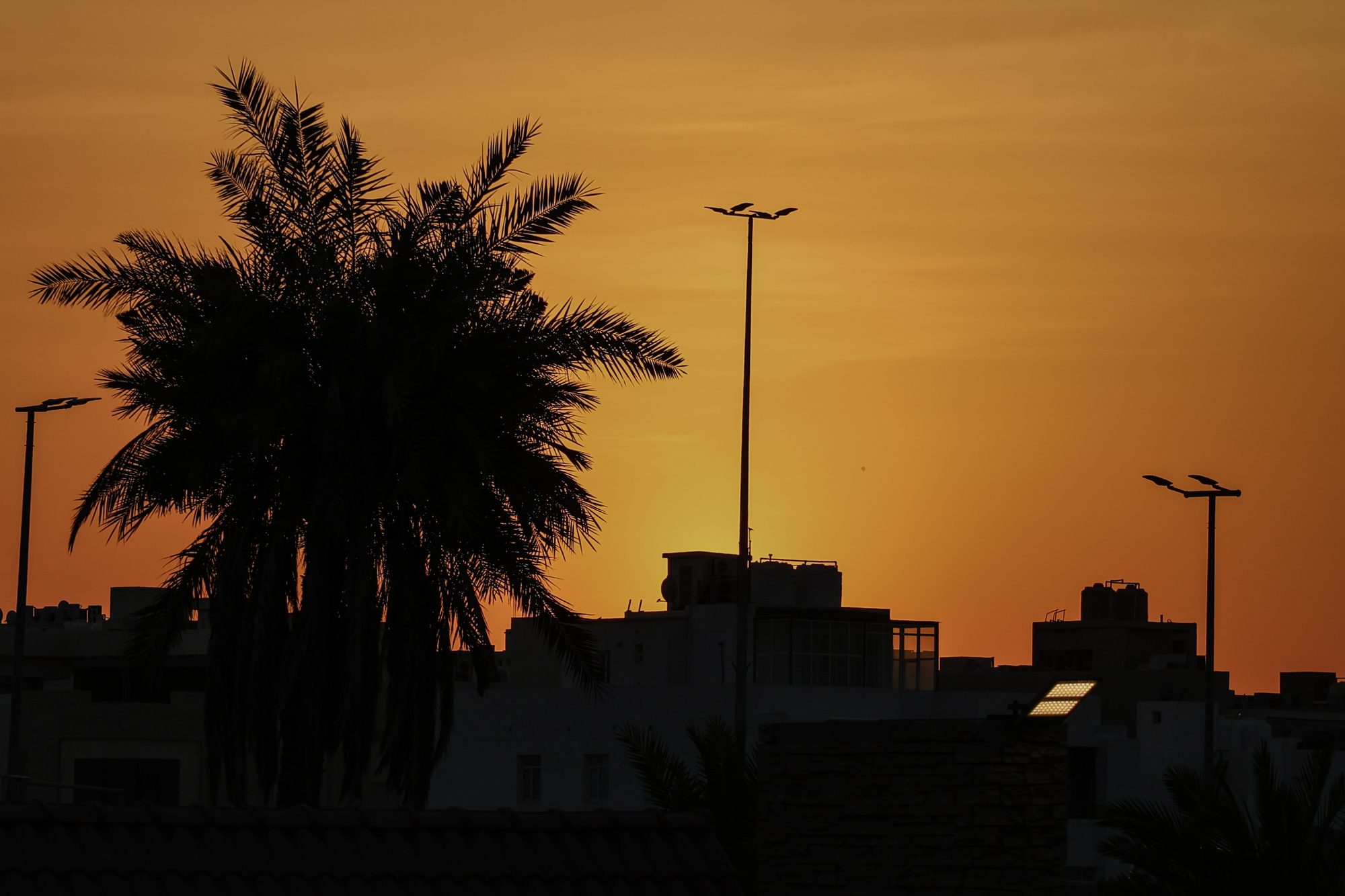 Horizontal photograph 7 of 35 by Mohammed Alkindi
