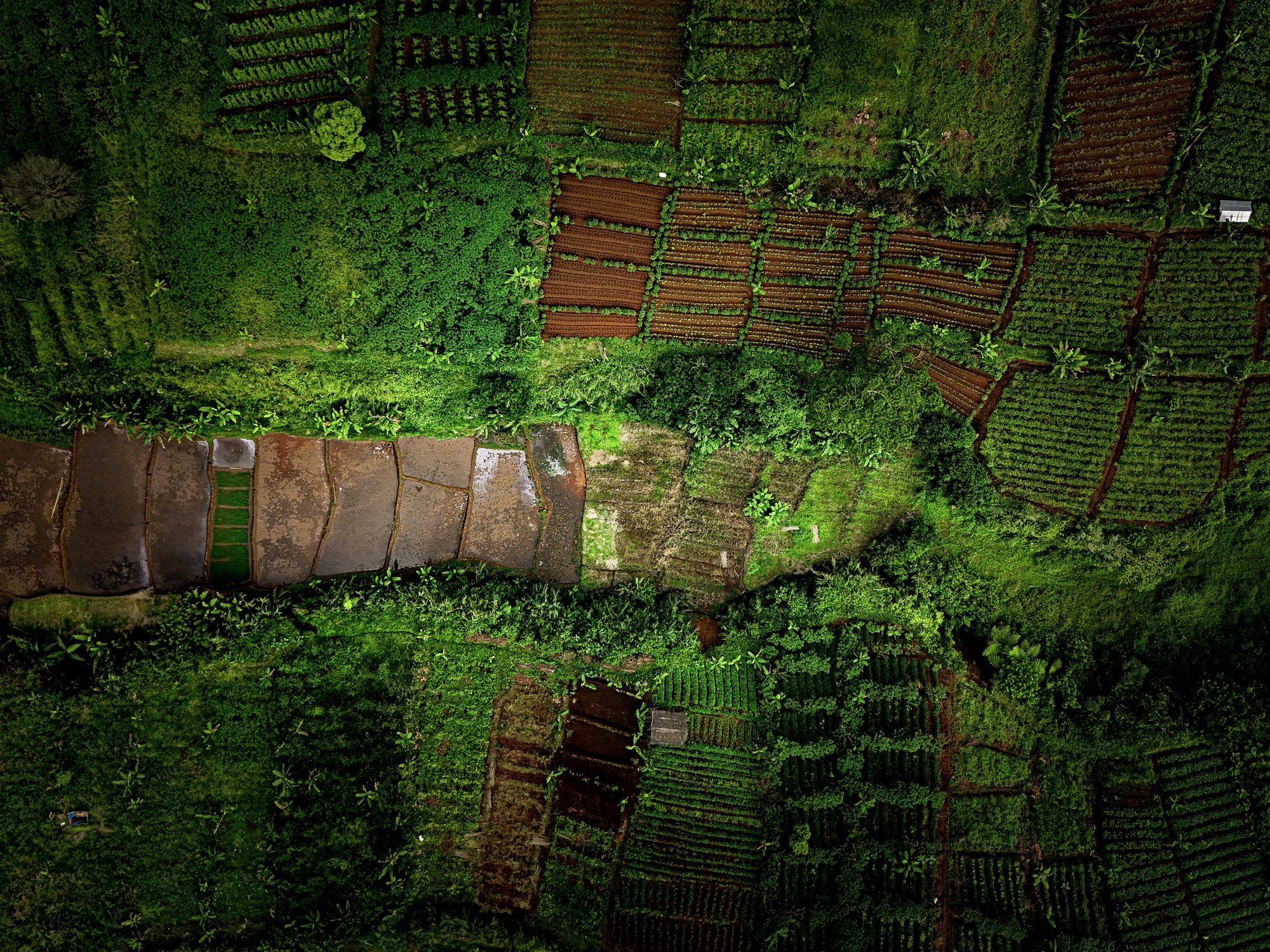 Horizontal photograph 9 of 35 by Mohammed Alkindi