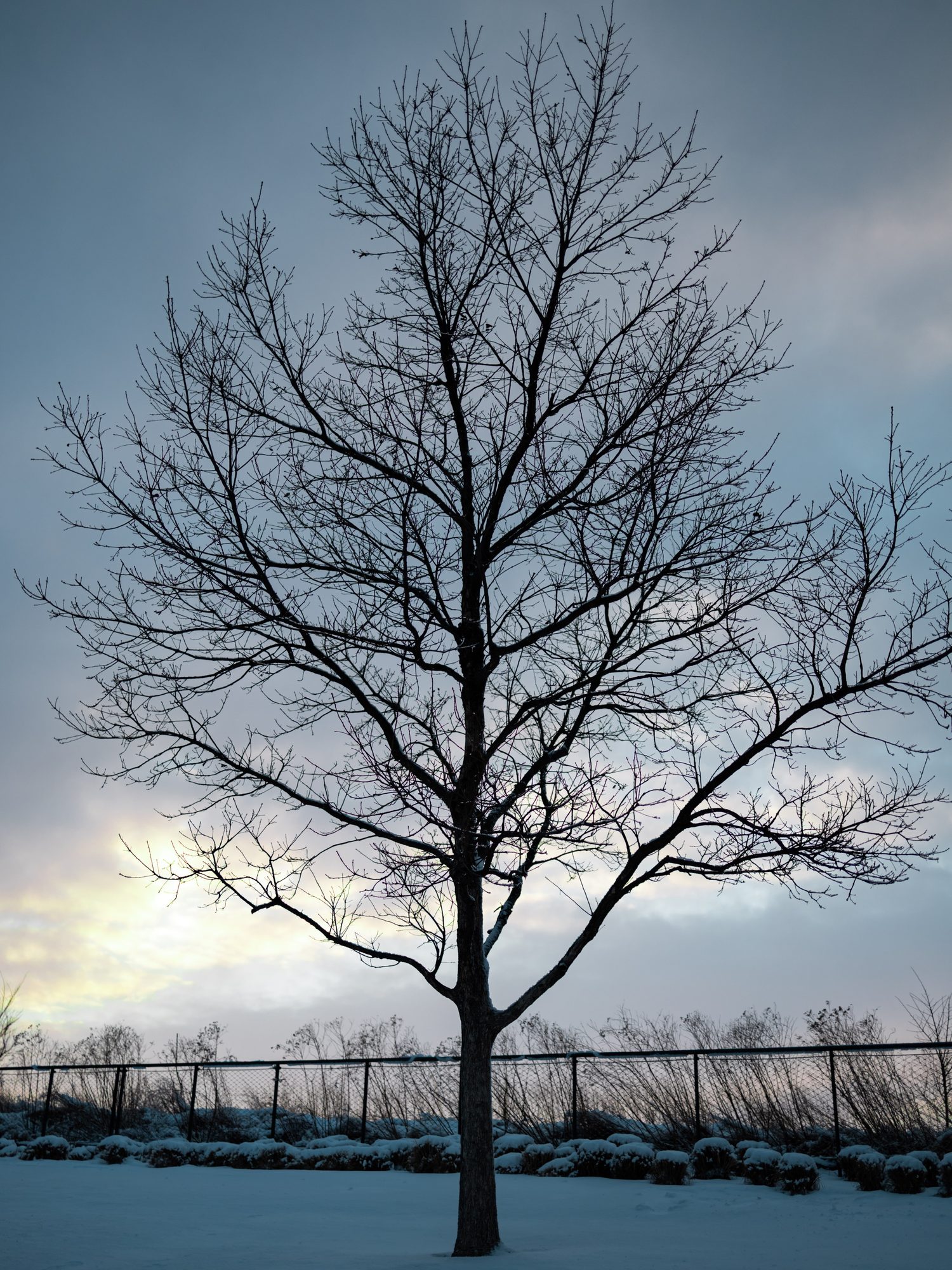 Vertical photograph 30 of 55 by Mohammed Alkindi