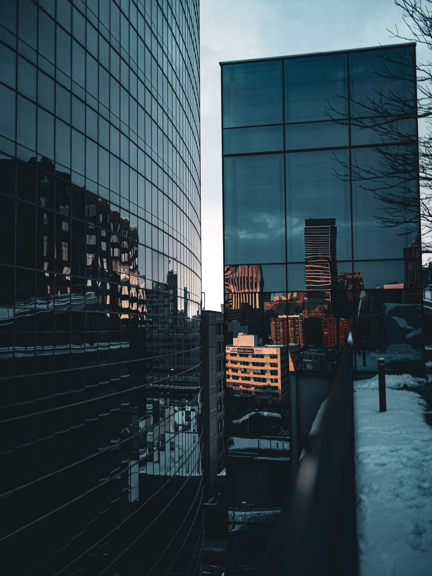 Vertical photograph 33 of 55 by Mohammed Alkindi