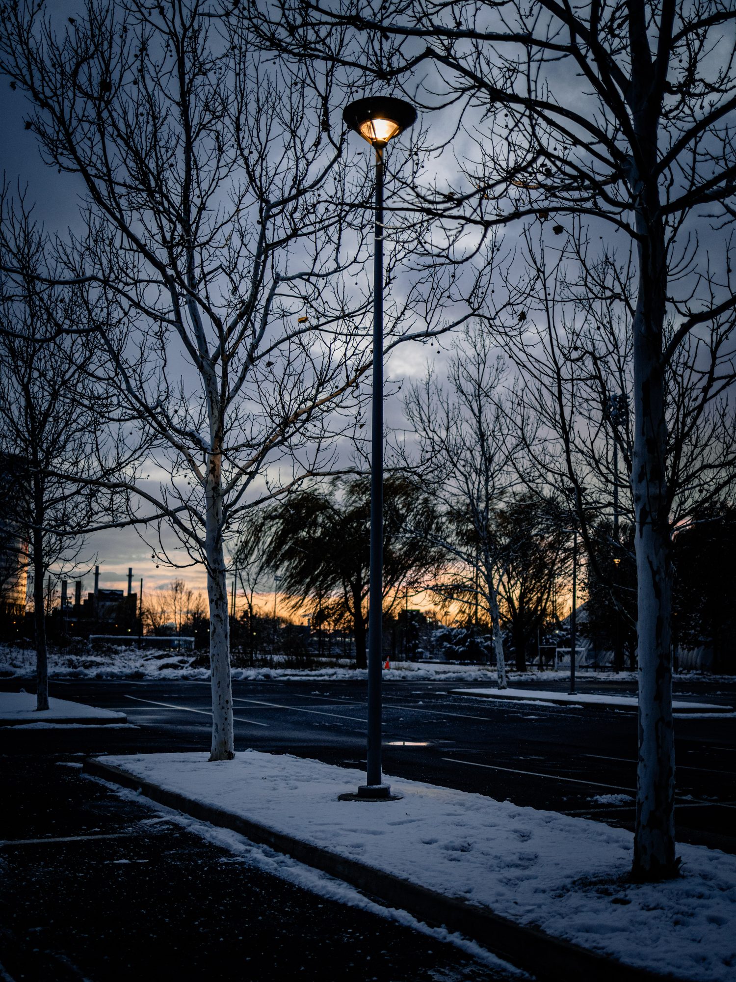 Vertical photograph 40 of 55 by Mohammed Alkindi