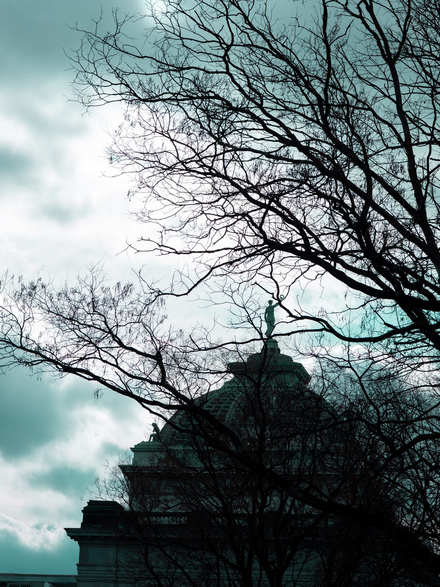 Vertical photograph 43 of 55 by Mohammed Alkindi