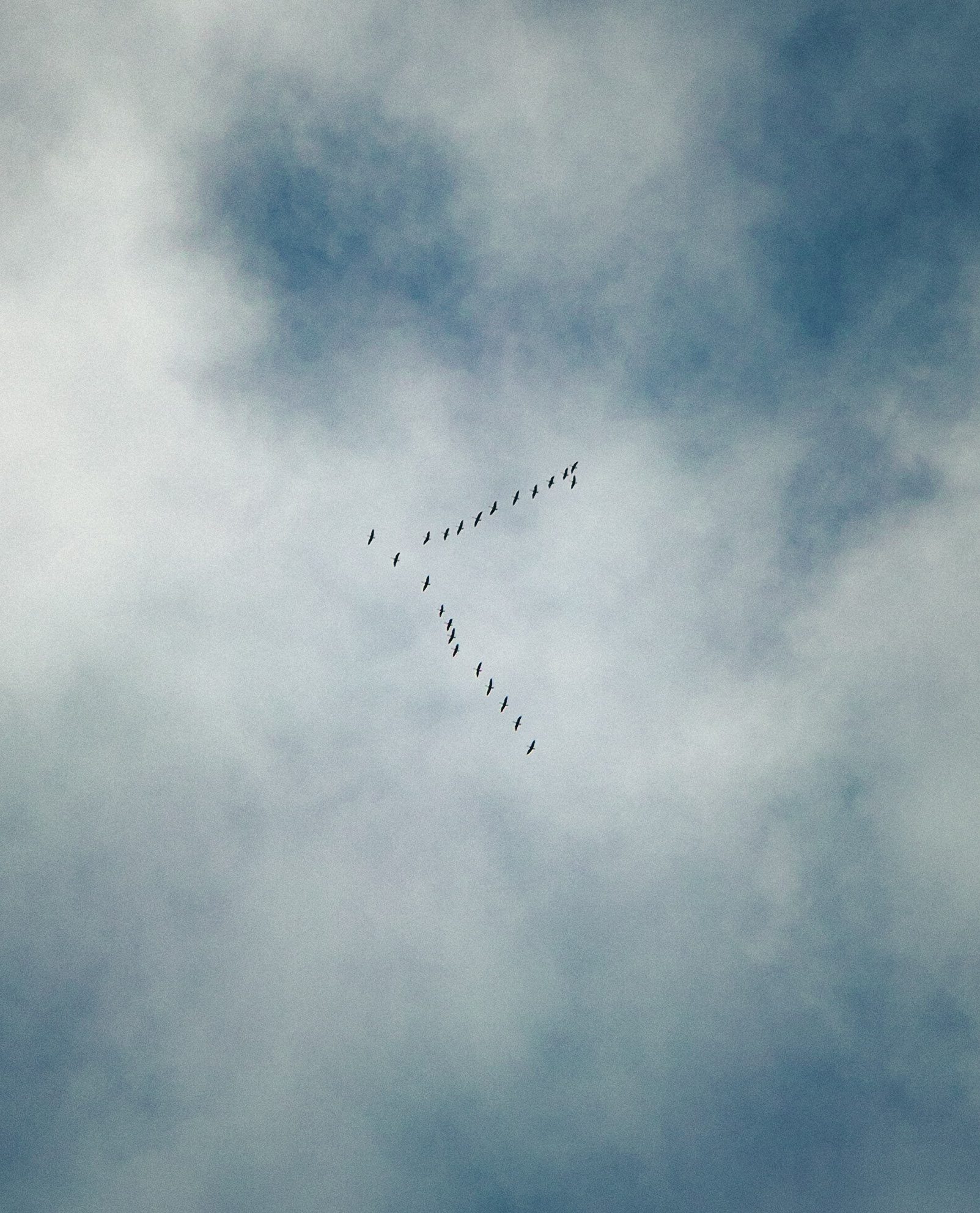 Vertical photograph 44 of 55 by Mohammed Alkindi