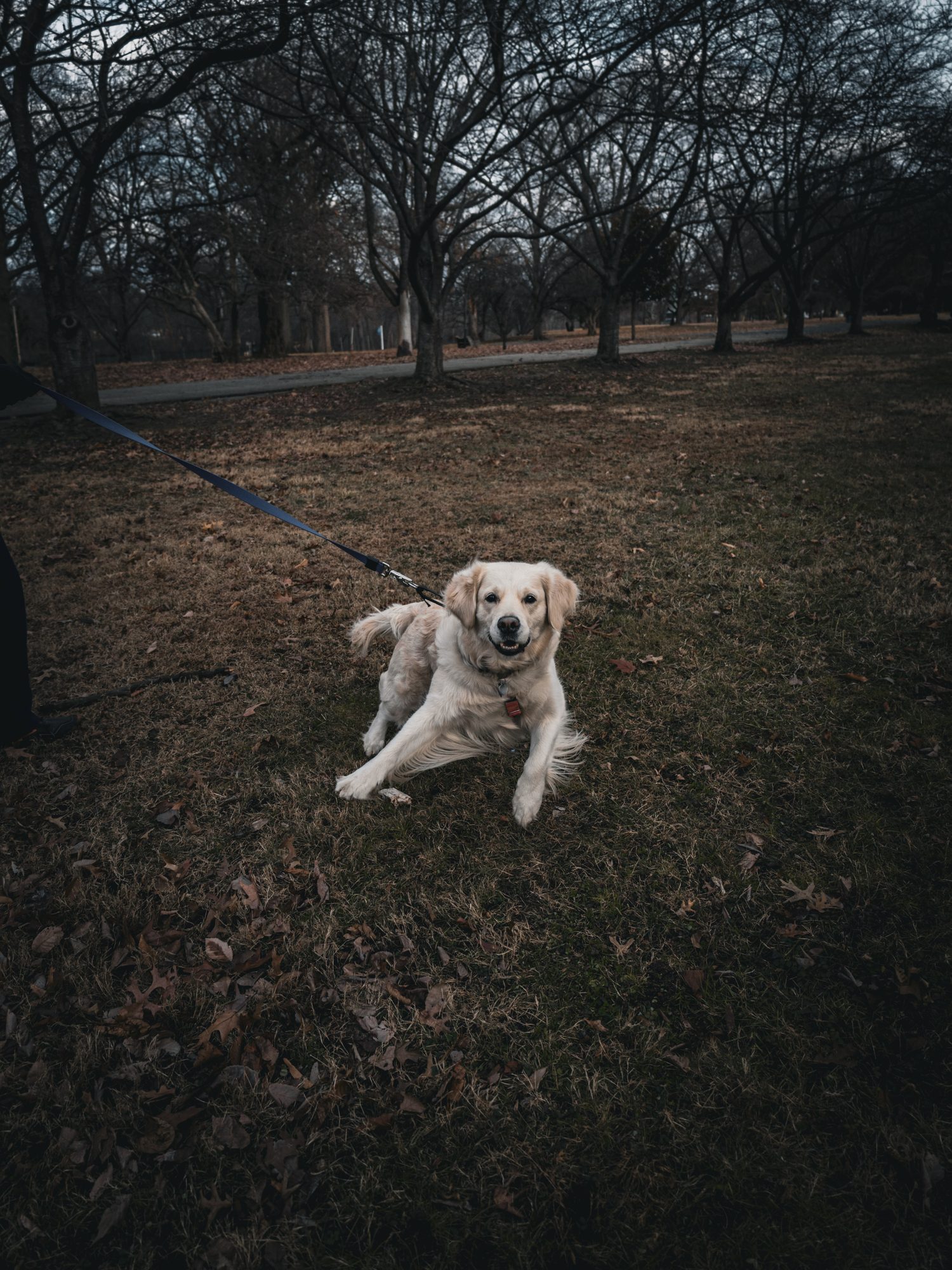 Vertical photograph 46 of 55 by Mohammed Alkindi