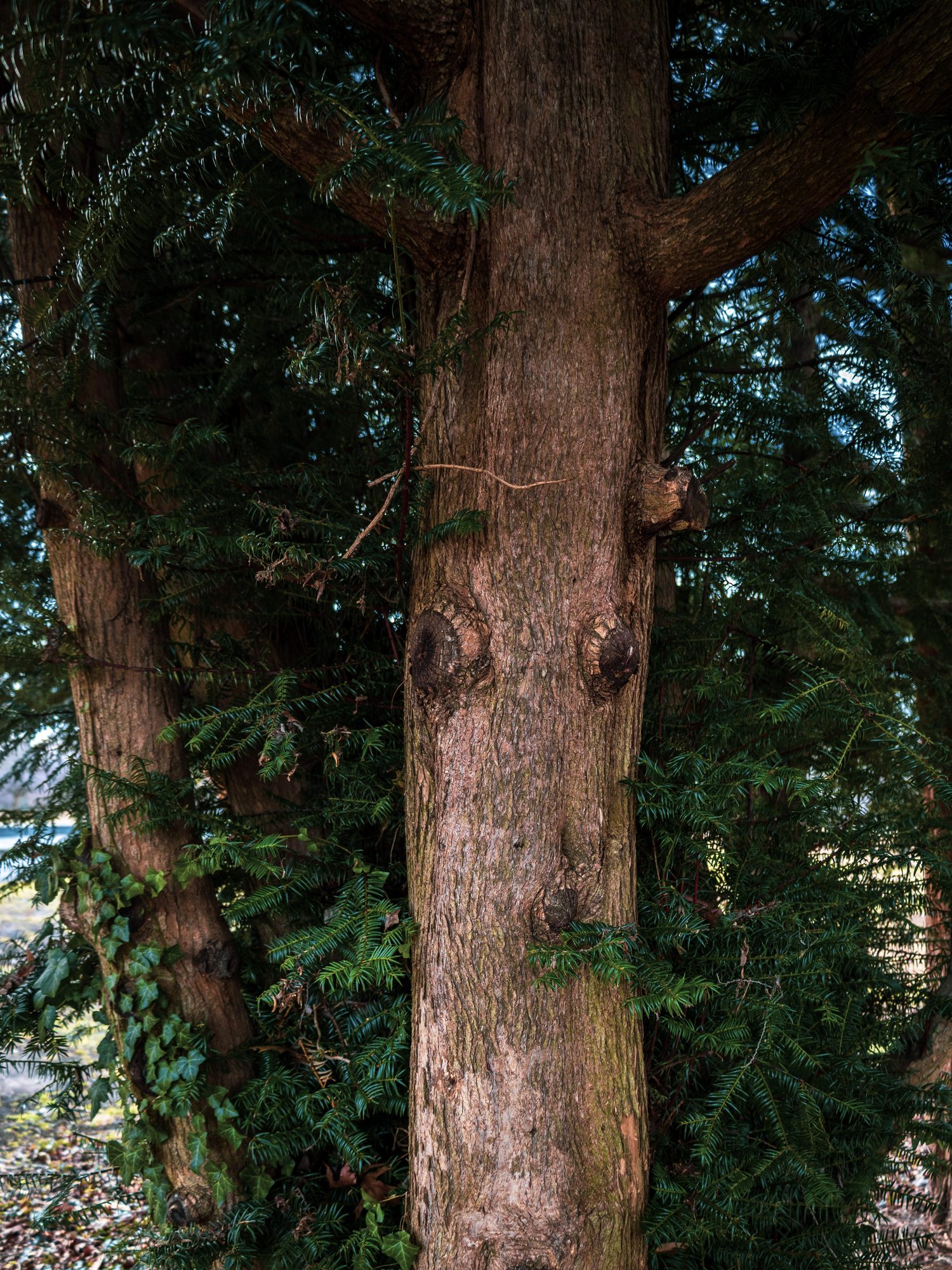 Vertical photograph 49 of 55 by Mohammed Alkindi