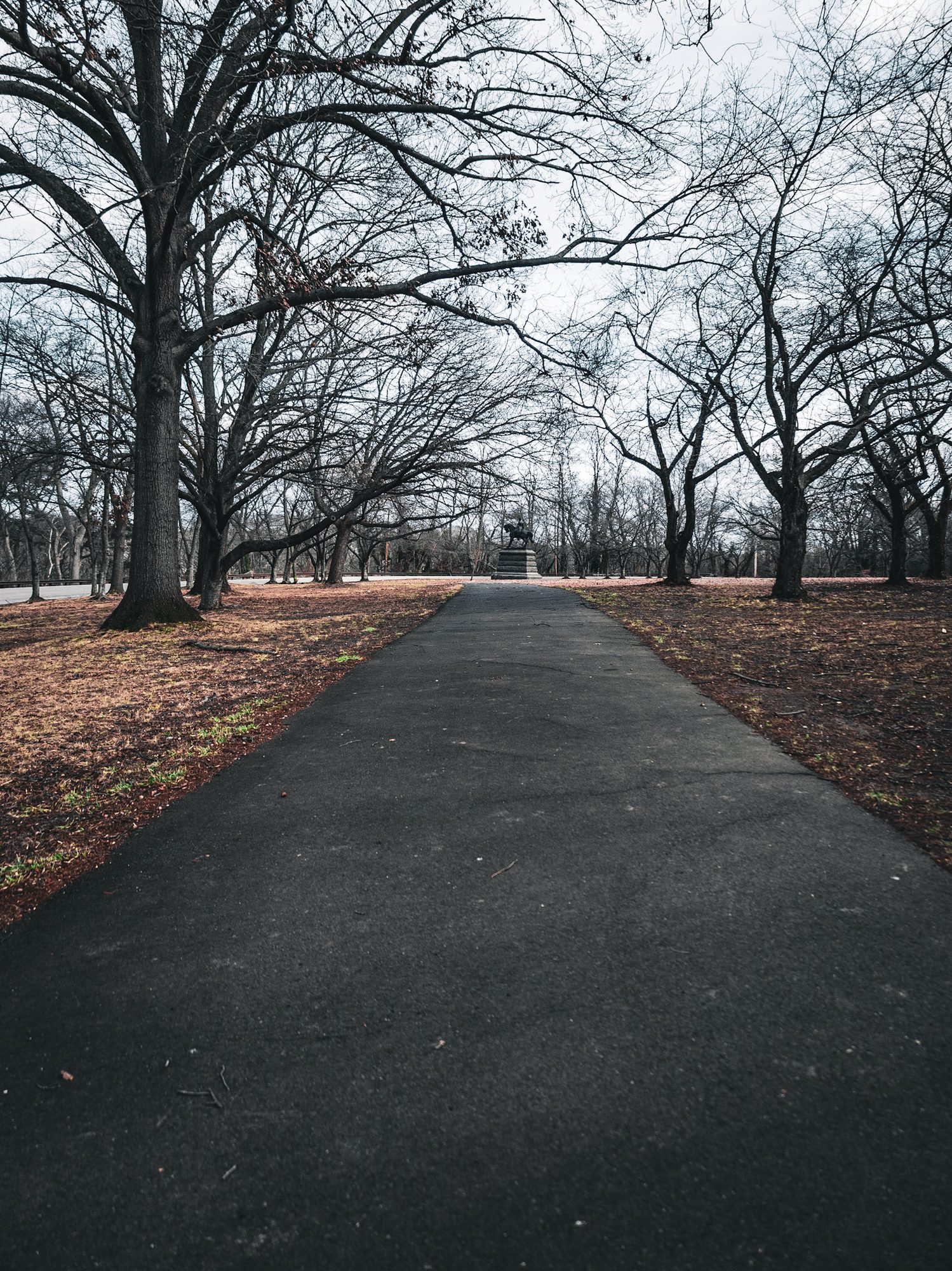 Vertical photograph 54 of 55 by Mohammed Alkindi