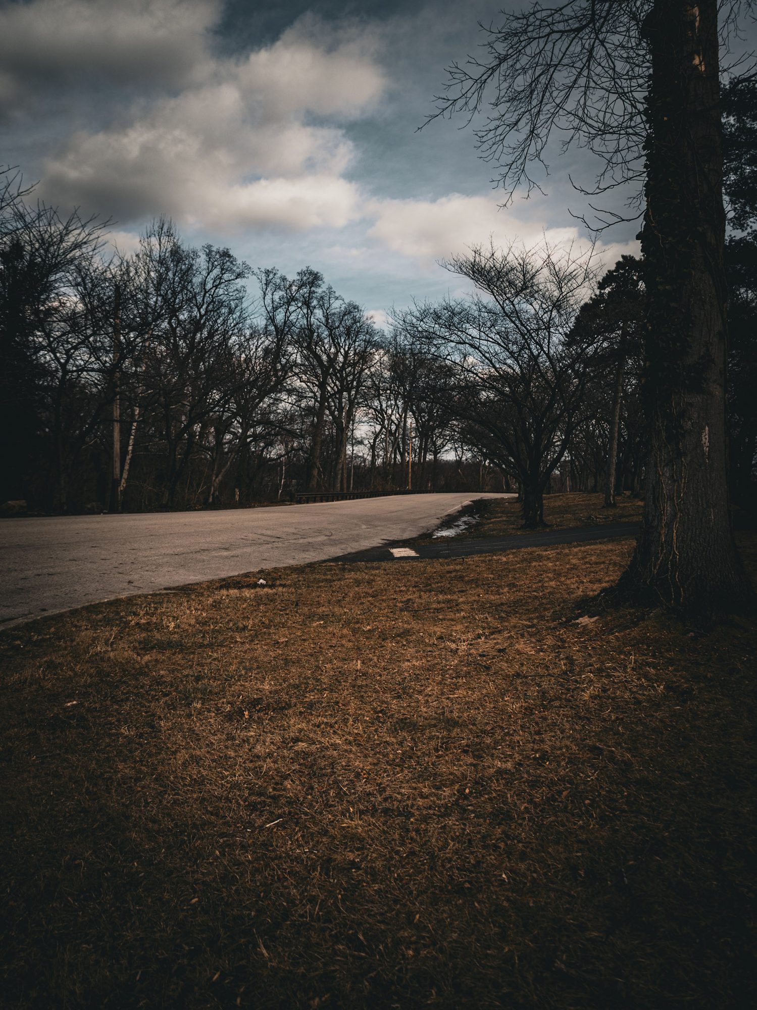Vertical photograph 55 of 55 by Mohammed Alkindi